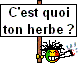 pourqoi ? Herbe